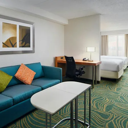 Springhill Suites By Marriott Chicago Southwest At Burr Ridge Hinsdale-2