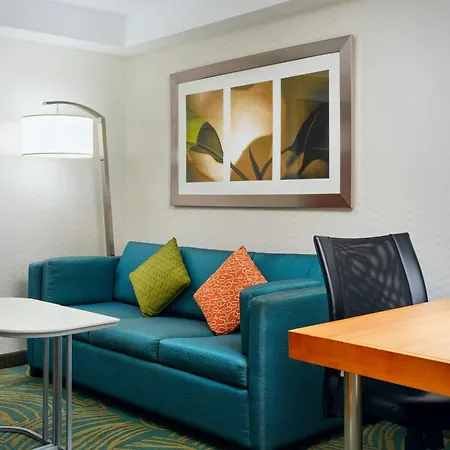 Springhill Suites By Marriott Chicago Southwest At Burr Ridge Hinsdale-3