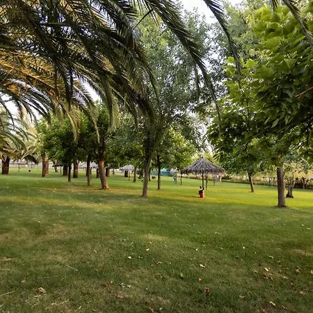 Hostal - Bungalows Camping Caceres-2