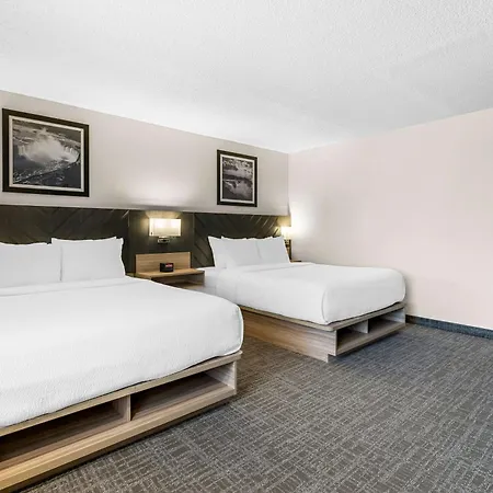 Best Western Buffalo Inn & Suites-2