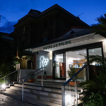 Hotel Le Palme-2