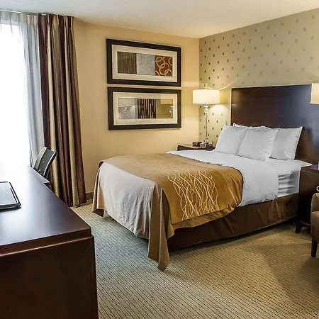 Comfort Inn Bloomington Near University-3
