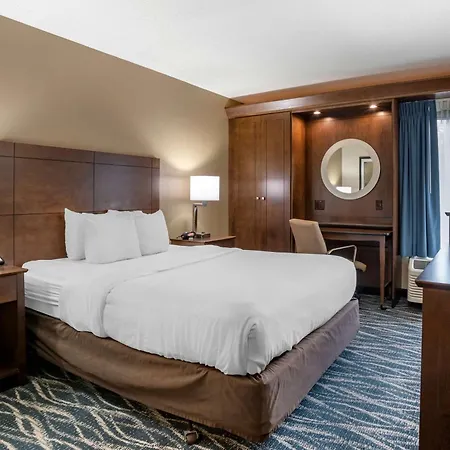 Comfort Inn & Suites Newark - Wilmington-3