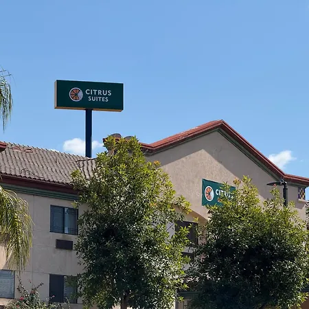Citrus Suites Redlands Loma Linda Hotel-2