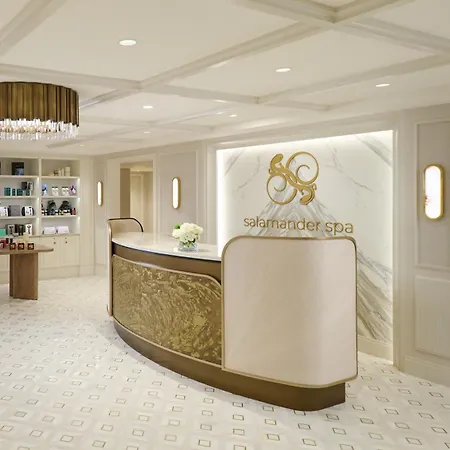 Salamander Washington Dc-3