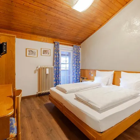 Hotel Stella-3