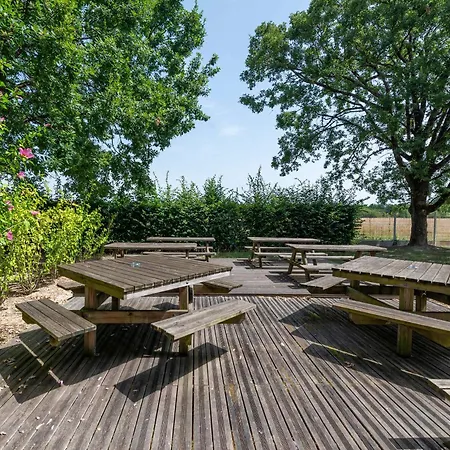 B&B Hotel Montauban-2