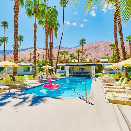 A Place in the Sun: Adults-Only Midcentury Boutique with Heated Pool-3