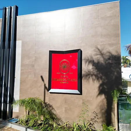 Hotel Girassol Plaza-3