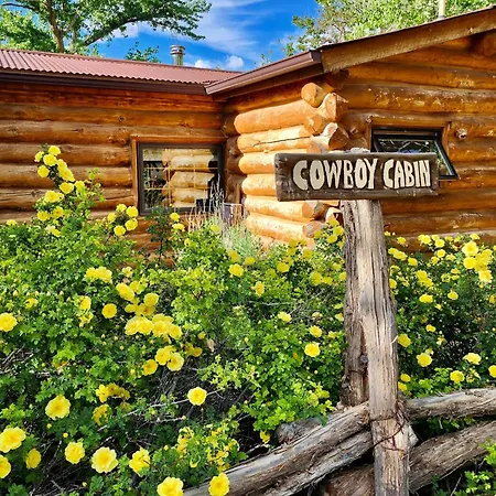 Canyon Of The Ancients Guest Ranch-2