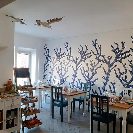 B&B Jolie-3