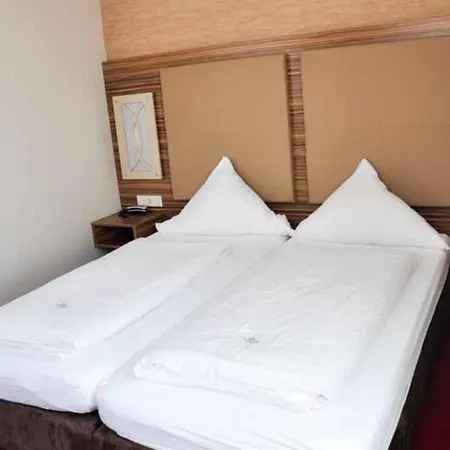 Hotel Villa Erlen-2
