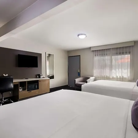 Sunset West Hotel, SureStay Collection By Best Western-2