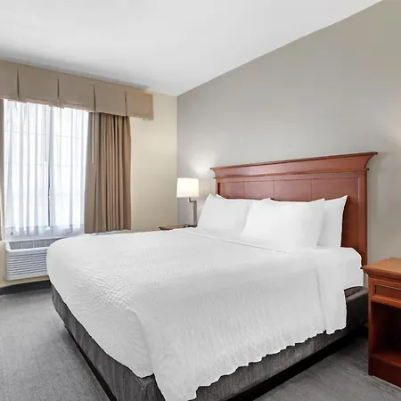 Best Western Plus Executive Hotel & Suites-3