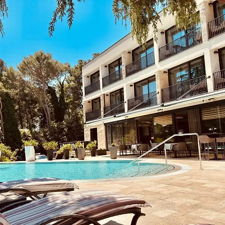 Hotel Arupinum-3