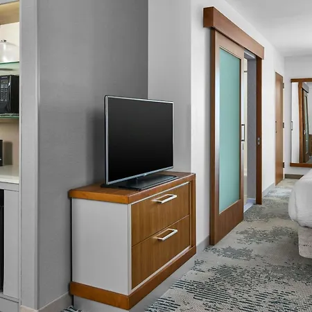 Springhill Suites Lumberton-2