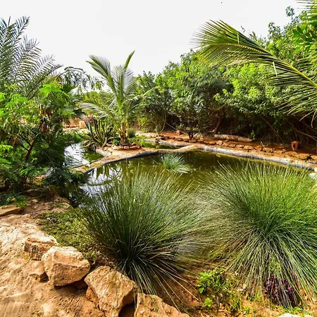 Dar Tawarta Guest House Dakhla-2