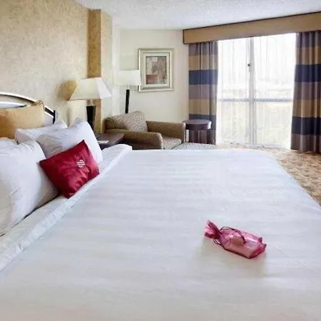 Radisson Hotel Austin - University-3