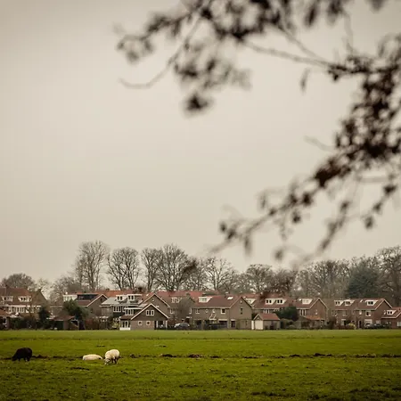 Hotel De Witte Dame-2