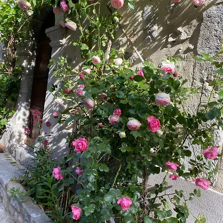 Les MIRABELLES chambres d'hôtes-3