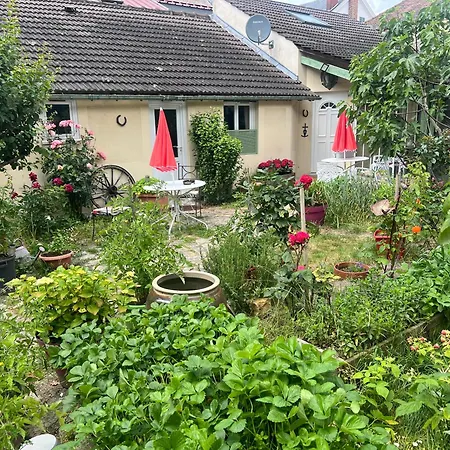 Chambres d'hôtes La Catounière-3