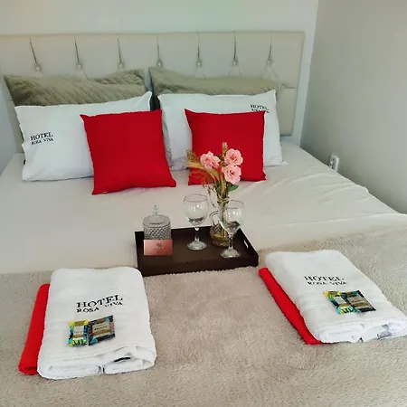 Hotel Rosa Viva-3