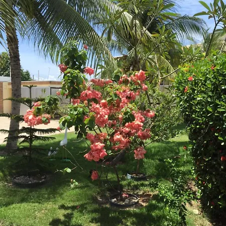 Pousada Villa Joia-2