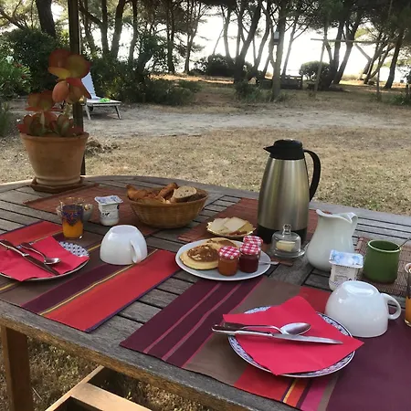 Au Bord De Thau-3
