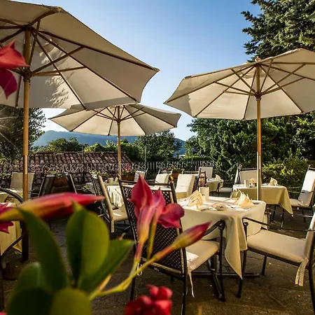 Swiss Historic & Garten Hotel Villa Carona-2