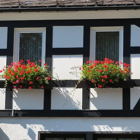 Landgasthof Gilsbach-3