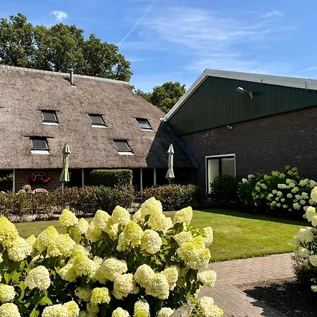 De Veurdeale-3