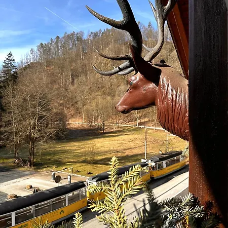 Hotel Forsthaus-3