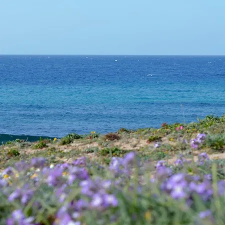 Residence Cala Verde-3