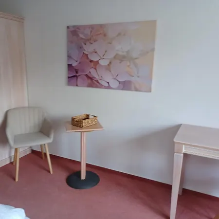 Hotel zur Altstadt-3