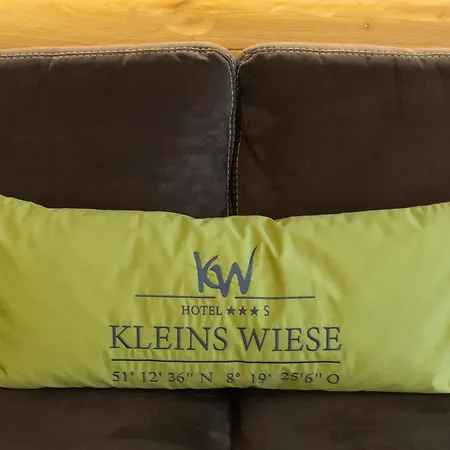 Hotel Kleins Wiese-2
