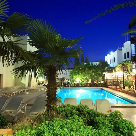 Paloma Hotel-2