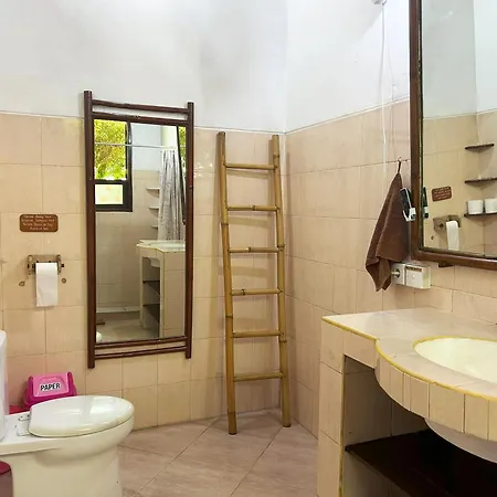 Serenity Eco Guesthouse And Yoga- Chse Certified-2