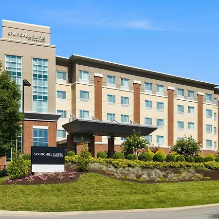 Springhill Suites By Marriott Roanoke-3