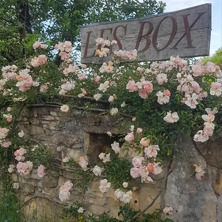 les Box-2