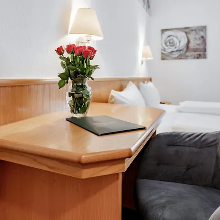 Hotel Domschatz-3