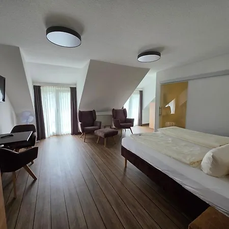 Hotel Am Kurpark Späth-3