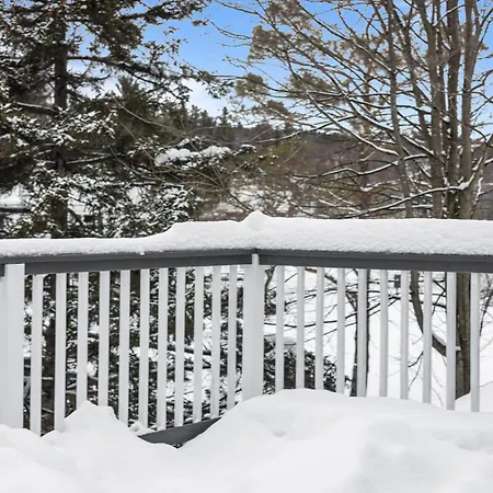 Stowe Motel & Snowdrift-3