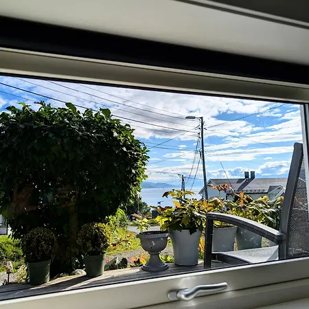 Aurora Rooms In Shared Apartment Nr2 We Are Doing Privet Northen Lights Trips, Reindeer Trip And Fjord Sommaroy Trip-2