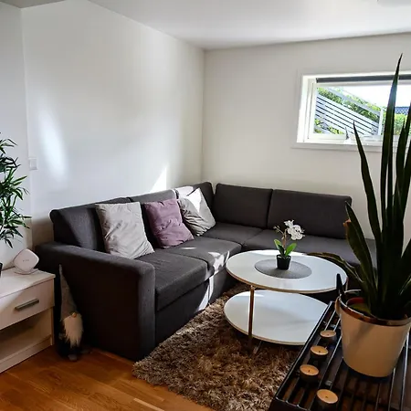 Aurora Rooms In Shared Hause Nr3 We Are Doing Northen Lights Trip, Reaindear Trip And Sommaroy Fjord Trips-2