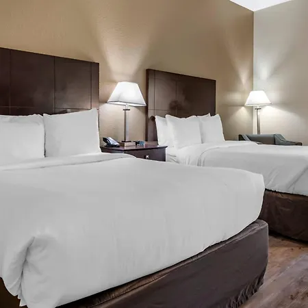 Comfort Inn & Suites Deland - Near University-3
