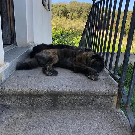 A Loghja Di Cavallo Morto-3