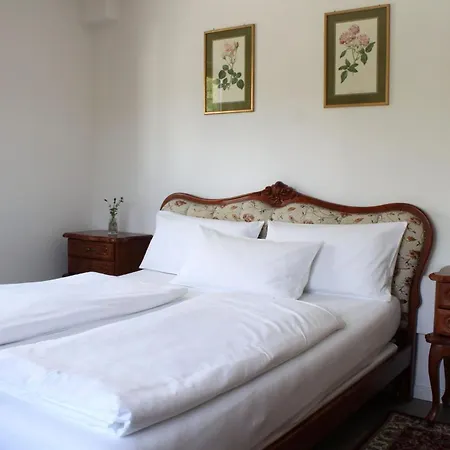 Hotel Viktoria-2
