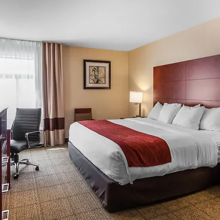 Comfort Inn & Suites Near Fallon Naval Air Station-2