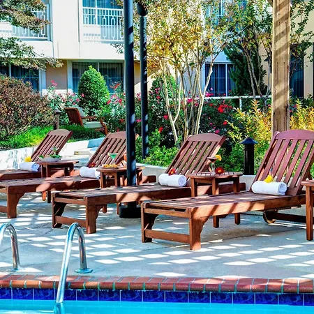 Sheraton By Marriott Atlanta Perimeter Dunwoody-3