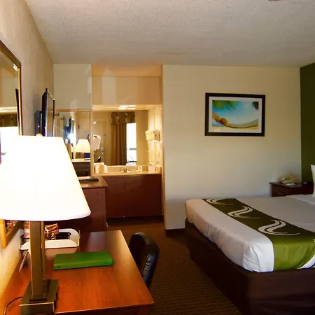 Surestay Hotel By Best Western St Pete Clearwater Airport-3